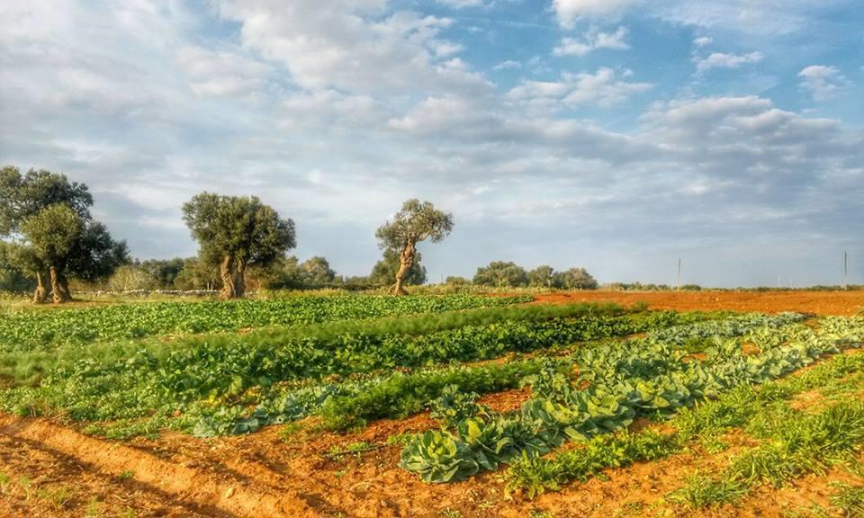 Masseria La Lizza - Ospitalita Rurale Lecce Exterior foto